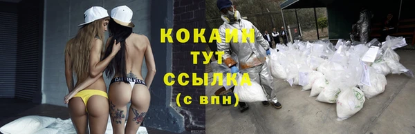 крисы Абинск