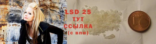 шишки Алексин