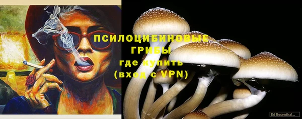 крисы Абинск