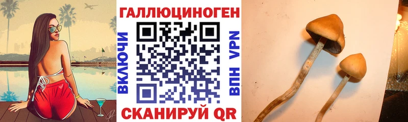 Псилоцибиновые грибы Psilocybine cubensis  сайты даркнета формула  Троицк 